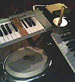 081123_rooster3_web.jpg