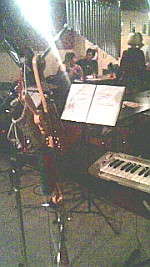 081123_rooster4_web.jpg